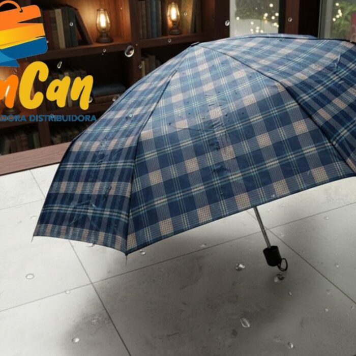 PARAGUA DE CARTERA 603