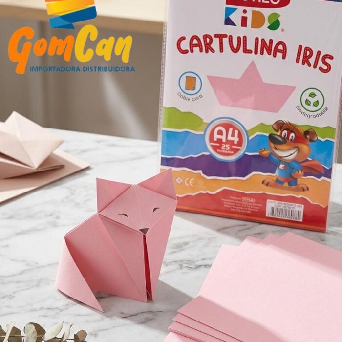 CARTULINA A4  COLORES