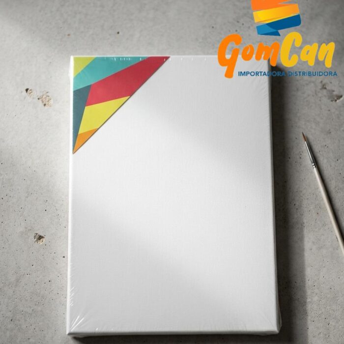 LIENZO  BLANCO 20X30 - 848